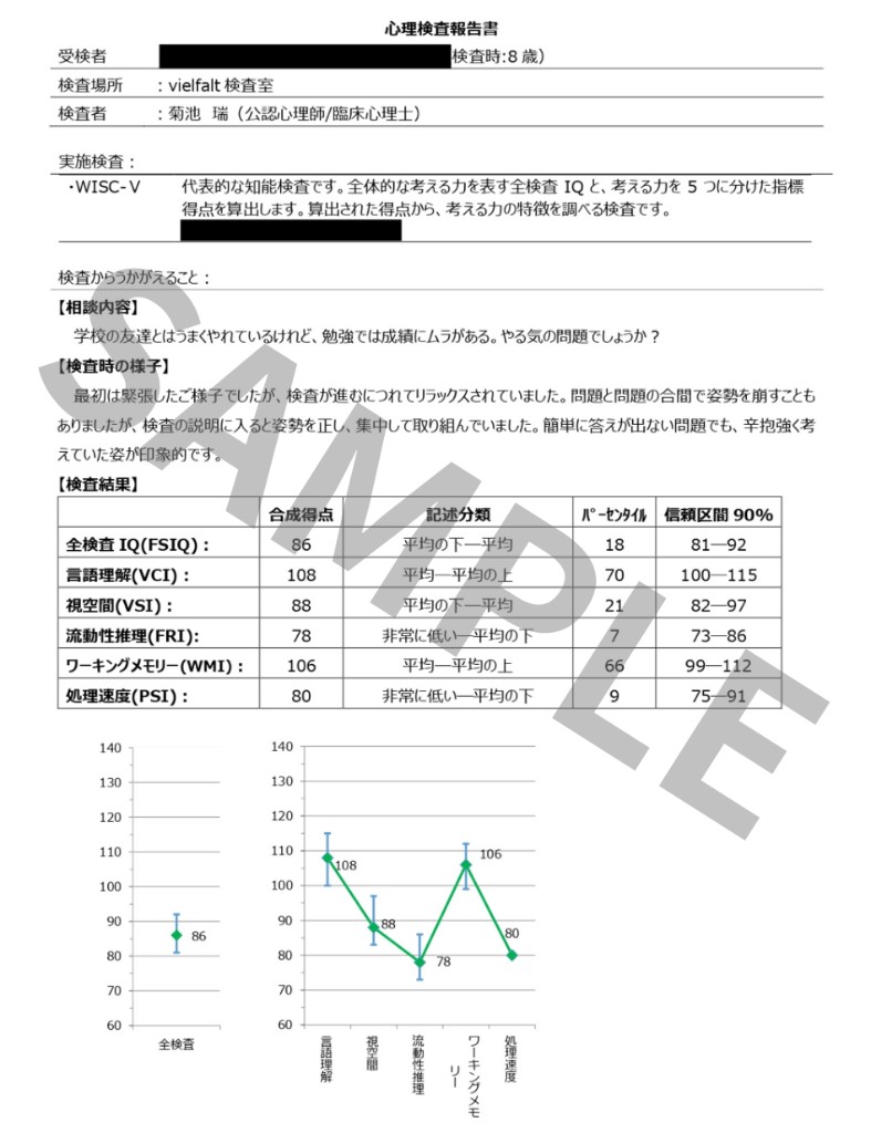 心理検査報告書サンプル（検査結果・グラフ）