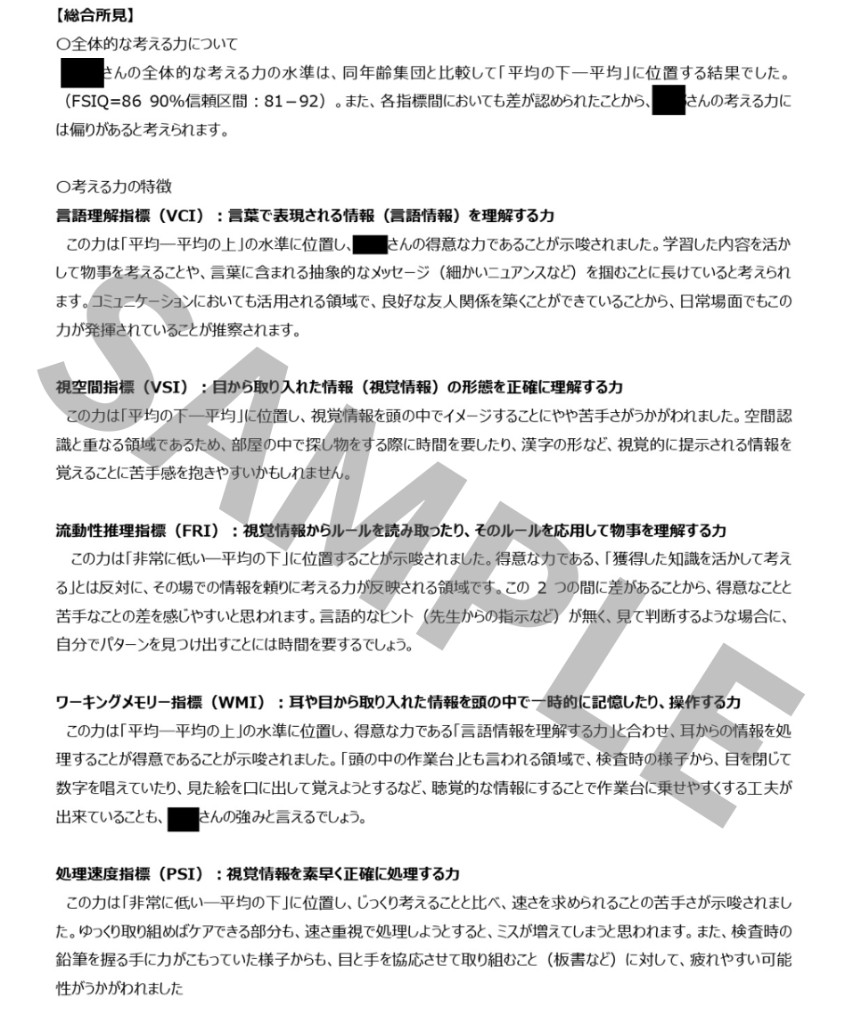 心理検査報告書サンプル（総合所見）